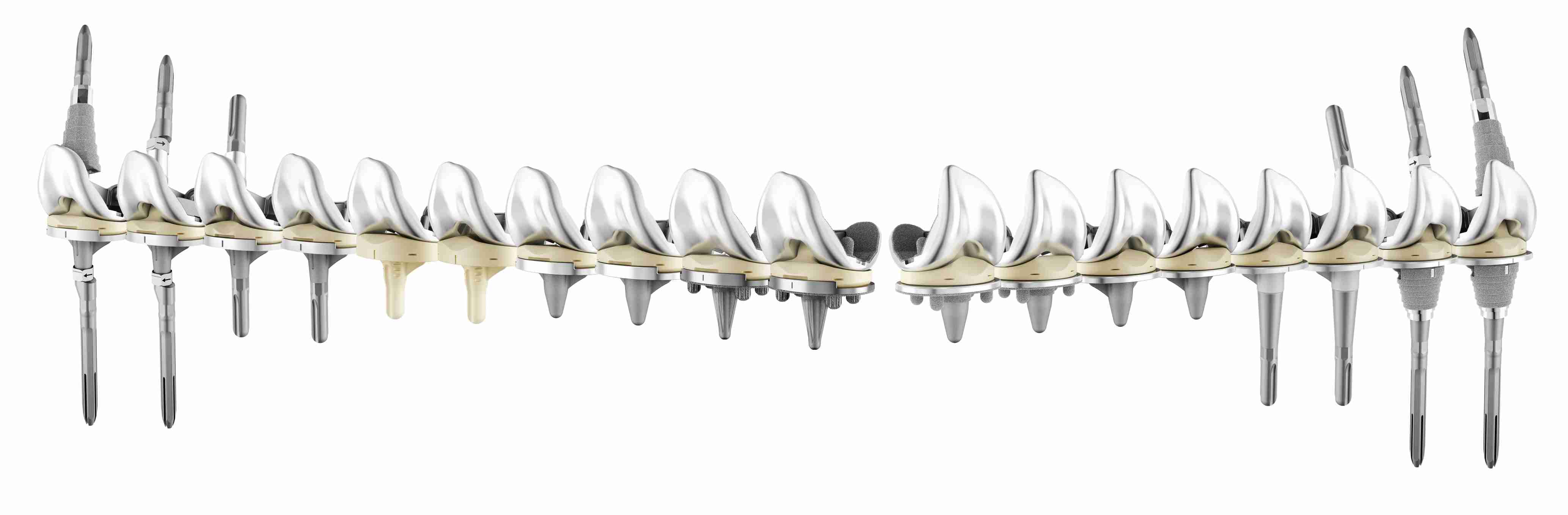 ATTUNE Knee System Portfolio Spread