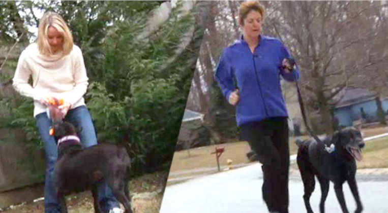  Two women walking their dogs outside