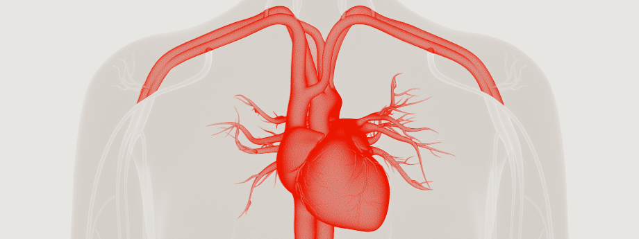 EHRA Banner 