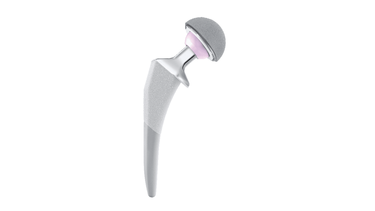 actis stem ceramic on polyethylene right anterior view