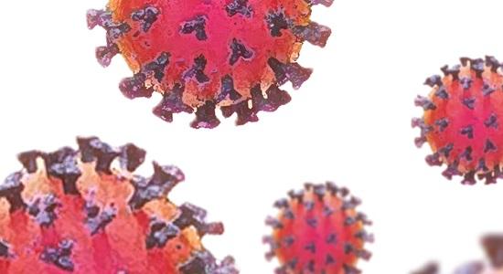 virus