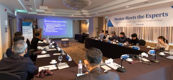 Mentor Meets the Experts