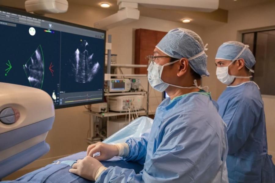 Biosense Webster Surgeon