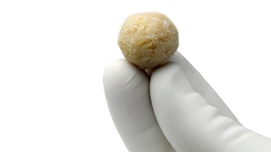 ViviGen ball in gloved hand
