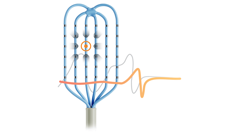 OPTRELL™ Catheter and CARTO™3 System Version 8
