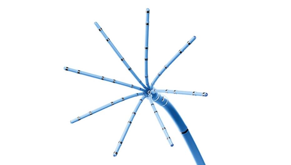 OCTARAY™ Mapping Catheter with 8 splines and 6 electrodes per spline rotating.